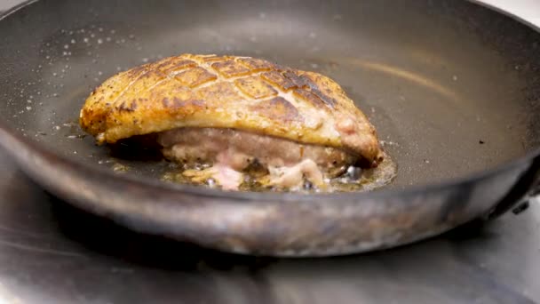 Delicioso pedazo de carne de pechuga de pato — Vídeo de stock