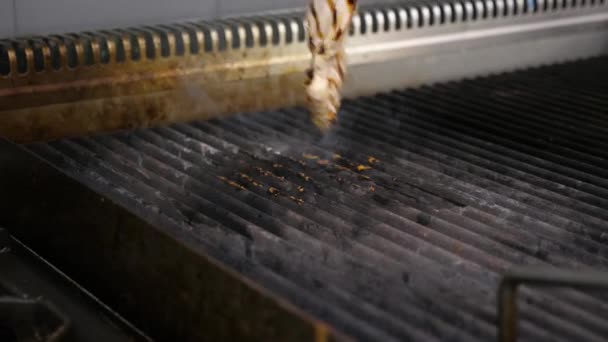 Ein Stück gegrilltes Hühnerfleisch — Stockvideo