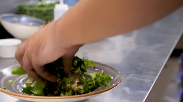 Cozinhe as mãos misturando salada cortada fresca com abacate — Vídeo de Stock
