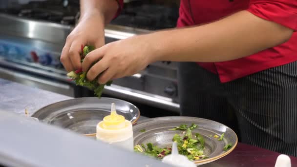 Cozinhe as mãos na cozinha do restaurante preparando um prato para os clientes — Vídeo de Stock