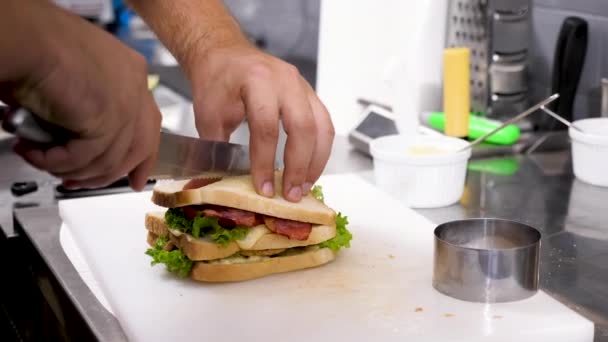 Reveladora toma de cerca de manos de cocinero cortando un sándwich — Vídeo de stock