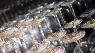 Farklı türde bir glassess