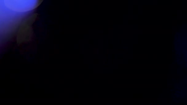 Bengalas de lentes azules dinámicas abstractas sobre un fondo negro — Vídeos de Stock
