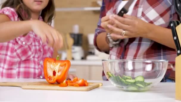 Gros plan de mains de femme coupant un poivron rouge doux — Video