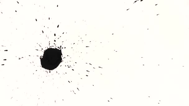 Gotas e manchas de tinta preta espalhadas sobre um fundo branco — Vídeo de Stock