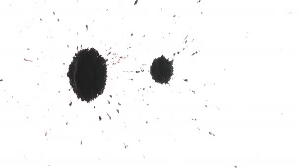 Pois et taches d'encre noire capturés organiquement — Video