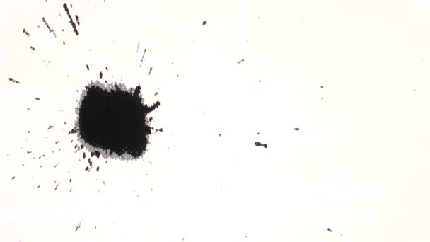 Salpicadura de tinta negra aislada sobre fondo blanco — Vídeo de stock
