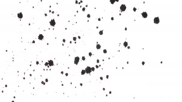 Multiple abstract dots of ink appearing on white background — Stock Video