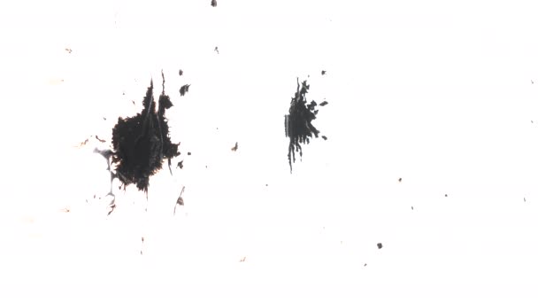 Multiple dots of black ink splashed over textured white background — Stock Video