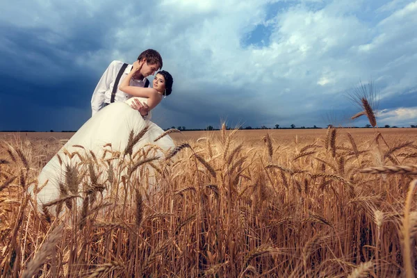 Mariée et marié dans le champ de blé avec ciel dramatique — Photo