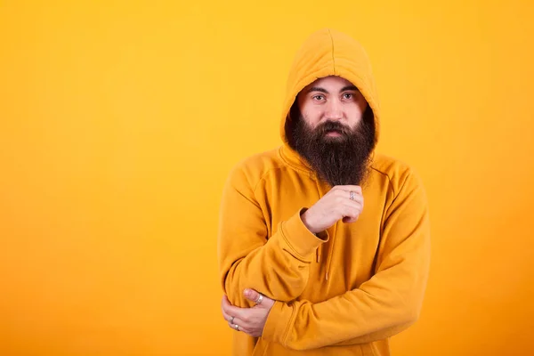 Cool Hipster playing with his long beard and looking at the camera over yellow background