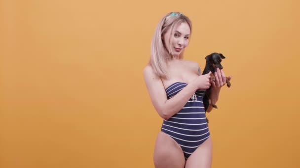 Mujer joven en traje de baño sostiene su chihuahua — Vídeo de stock