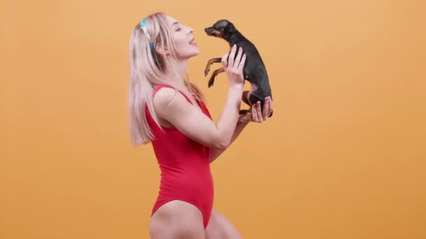 Blonde jonge vrouw zoenen en aaien haar Chihuahua over een gele achtergrond — Stockvideo