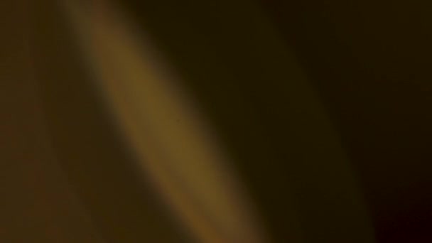 Effet de transition de lumière chaude pour vos images 