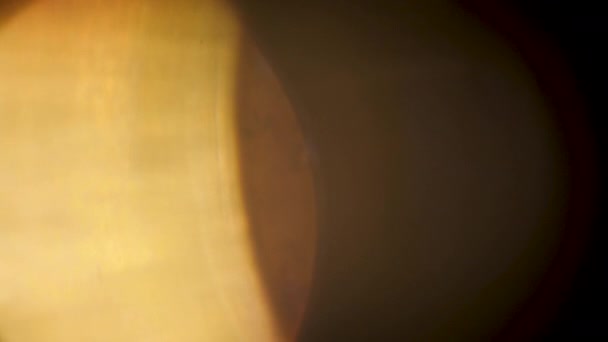 Altın sıcak tonları büyülü bokeh hareketli — Stok video