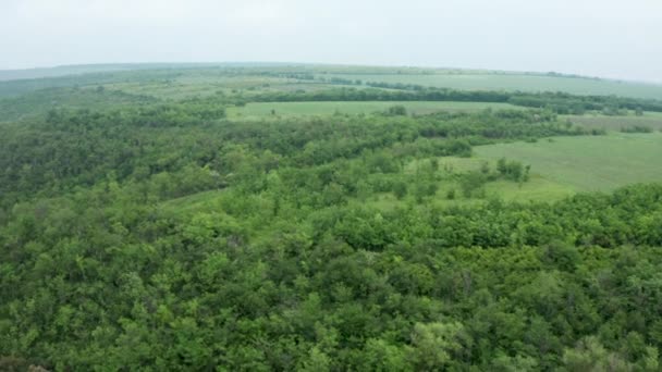 Aerial drone shot of dense forest and other wilderness — Stock Video