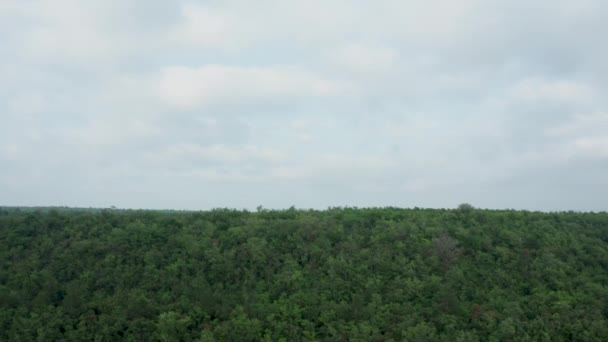 Megy le légi felvétel egy sűrű erdő — Stock videók
