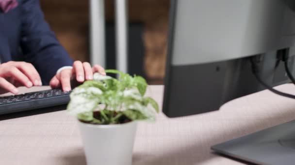 In modern kantoor, aan een bureau, een zakenman is het schrijven van een e-mail — Stockvideo