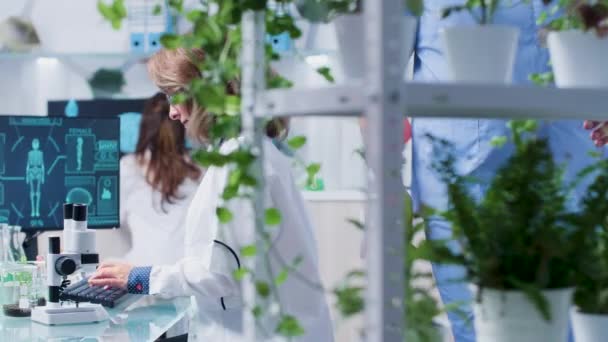 Botanik laboratuvarında yoğun bir gün — Stok video