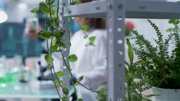 Laboratorio de bioquímica de gama alta con muestras y tubos — Vídeos de Stock