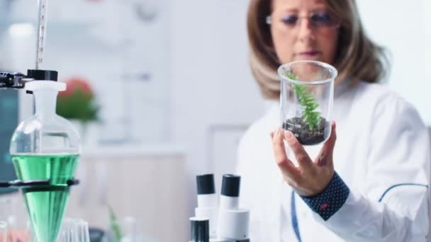 植物サンプルを分析する生物学者の選択的焦点 — ストック動画