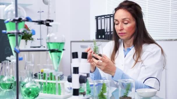 In modern biochemistry center researcher is looking at plant samples — Stock Video