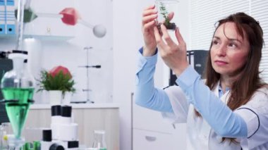 Bitki örneklerine bakan kadın bilim adamı araştırmacıportresi