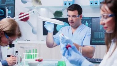 Meşgul gıda genetiği laboratuvar asistanı büyüteç altında bir meyve örneği bakıyor
