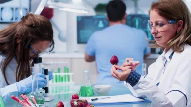 Investigadora biológica femenina inyectando OMG en fresas — Vídeo de stock