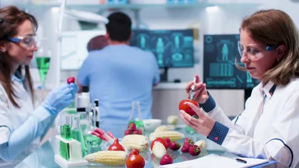 Ocupado dia no laboratório de genética de alimentos OGM — Vídeo de Stock