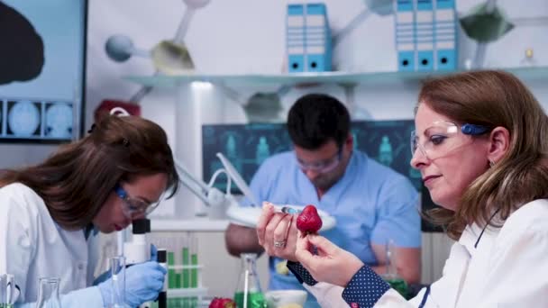 食品遗传学科学家在草莓中注射转基因 — 图库视频影像