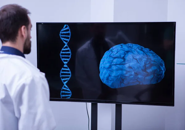 Fiatal radiológus, a kórházi laboratórium egészséges agyát elemzi — Stock Fotó