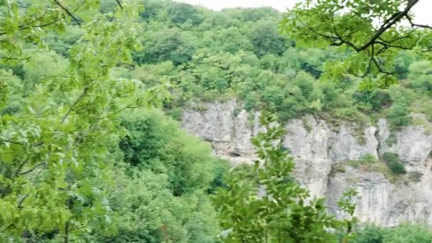 Панорамный снимок скалы, гор и деревьев — стоковое видео