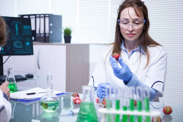 Middle age female doing Strawberry fruit research in laboratory — Stock Photo, Image