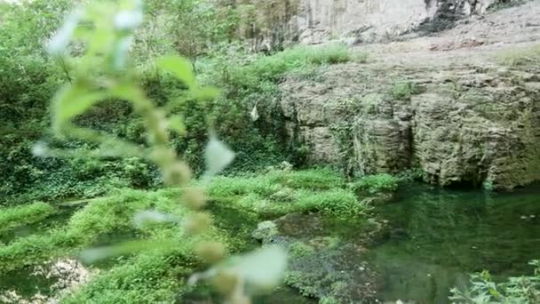 Río, cueva y naturaleza — Vídeo de stock