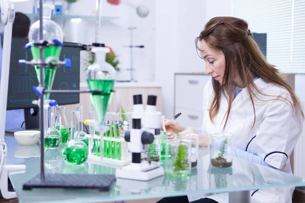 Científica académica en un laboratorio de microbiología — Foto de Stock