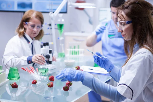 Side view middle age female scientist doing test on strawberries in a research lab — Stock Photo, Image