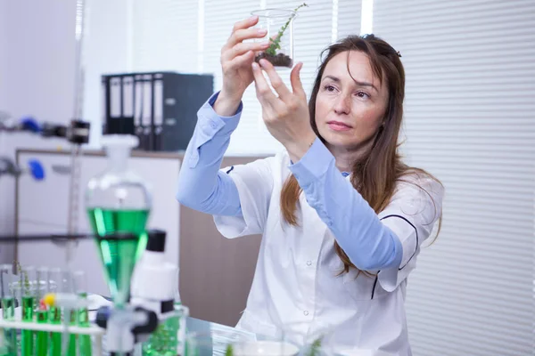 Female scientist holding up a sample of soil in a agriculture research lab — Stock Photo, Image