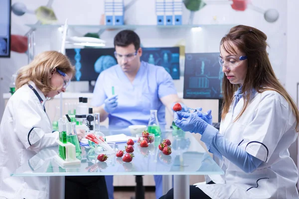 Equipo de científicos de investigación en un laboratorio haciendo análisis de fresas — Foto de Stock