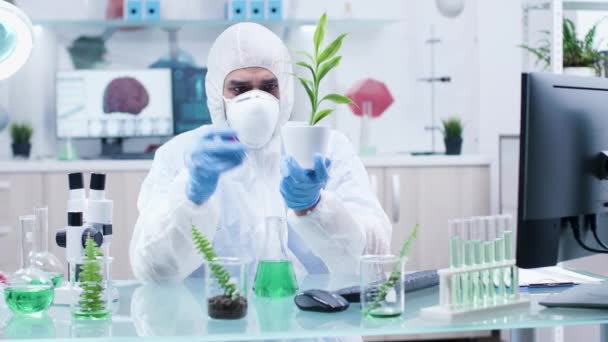 Testing new GMO on plants in modern laboratory — Stock Video