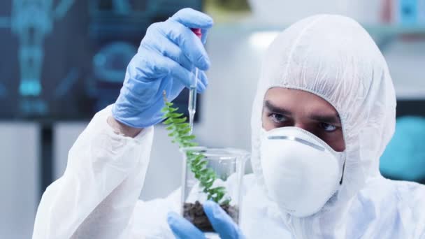 Dolly shot di scienziato in tuta bianca fare esperimenti su piante — Video Stock