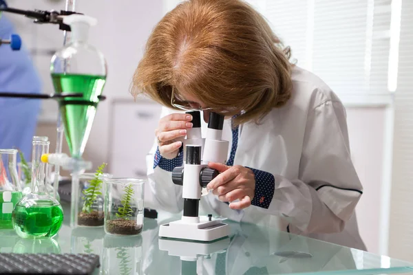 Portrait of middle age female biotechnology scientist working on microscope — Stock Photo, Image