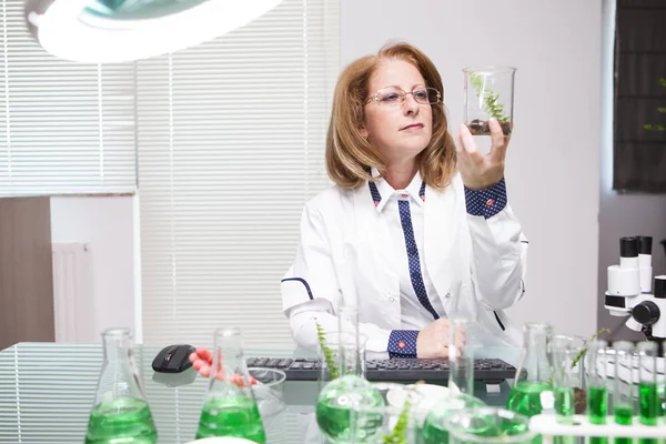 Науковець досліджує рослини в мікробіологічній лабораторії — стокове фото