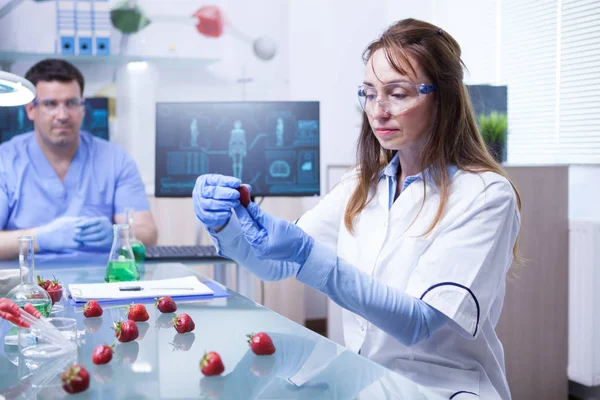 Científica y su asistente trabajando en una cura para los parásitos de fresas — Foto de Stock
