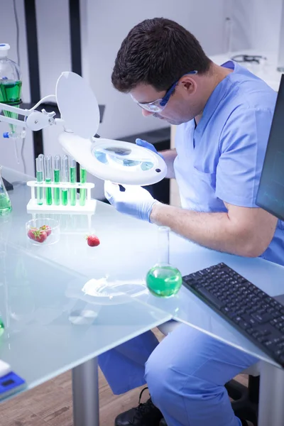 Молодий чоловік в дослідницькій лабораторії робить тест на полуницю в сільськогосподарській дослідницькій лабораторії — стокове фото