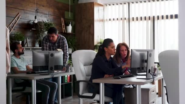 Jeune équipe travaillant dur dans leur bureau pour leur entreprise — Video