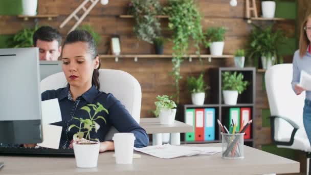 Successo giovane impresa seduta presso il suo ufficio a lavorare sul computer — Video Stock