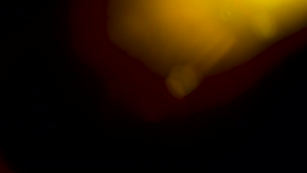 有機的に捕獲された暖かいレンズフレアは黒い背景の上に隔離される — ストック動画