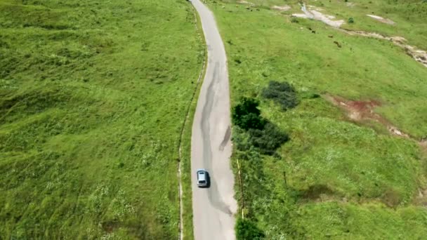 Top Down View van auto op landelijke weg — Stockvideo