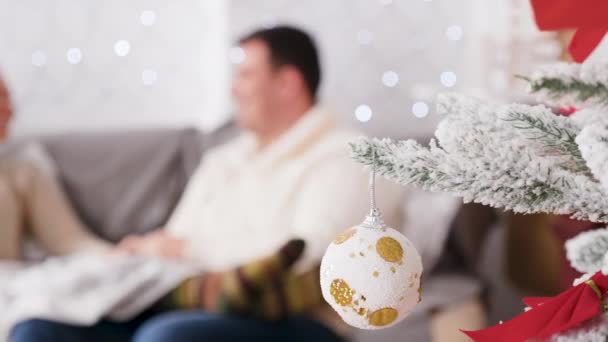 Verliebtes Paar sitzt auf dem Sofa im weihnachtlich dekorierten Zimmer — Stockvideo